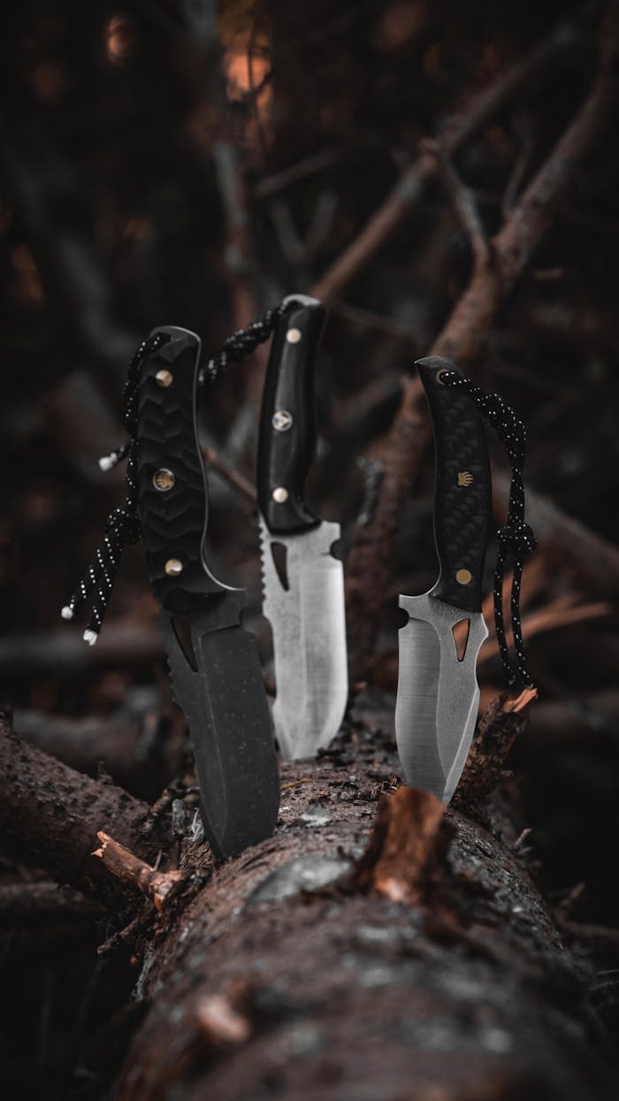 Knives in Tree Trunk